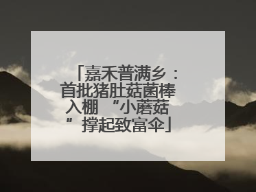嘉禾普满乡：首批猪肚菇菌棒入棚 “小蘑菇”撑起致富伞