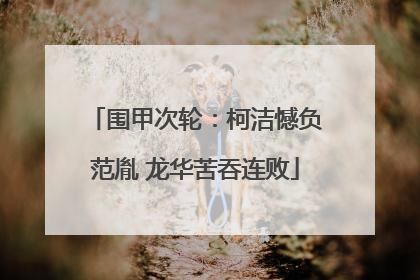 围甲次轮：柯洁憾负范胤 龙华苦吞连败