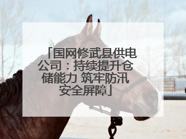 国网修武县供电公司：持续提升仓储能力 筑牢防汛安全屏障