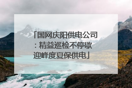 国网庆阳供电公司：精益巡检不停歇 迎峰度夏保供电
