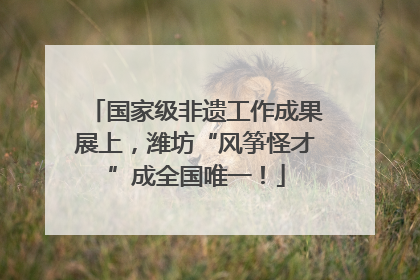 国家级非遗工作成果展上，潍坊“风筝怪才”成全国唯一！