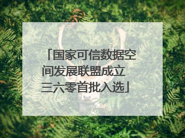 国家可信数据空间发展联盟成立 三六零首批入选