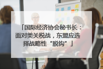 国际经济协会秘书长：面对美关税战，东盟应选择战略性“脱钩”