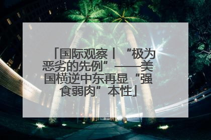 国际观察丨“极为恶劣的先例”——美国横逆中东再显“强食弱肉”本性