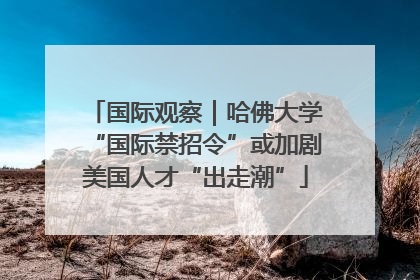 国际观察｜哈佛大学“国际禁招令”或加剧美国人才“出走潮”