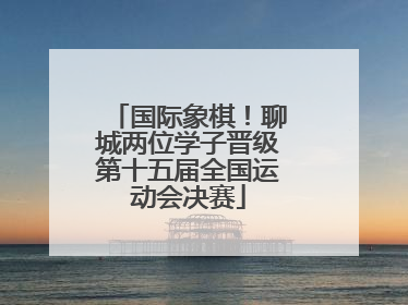 国际象棋！聊城两位学子晋级第十五届全国运动会决赛