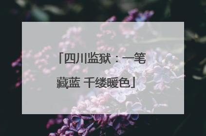 四川监狱：一笔藏蓝 千缕暖色