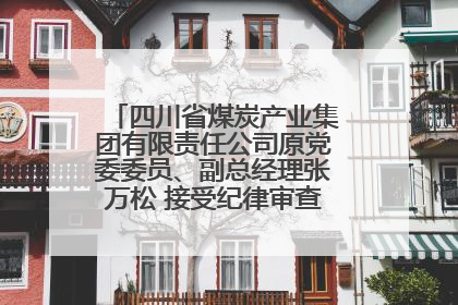 四川省煤炭产业集团有限责任公司原党委委员、副总经理张万松 接受纪律审查和监察调查
