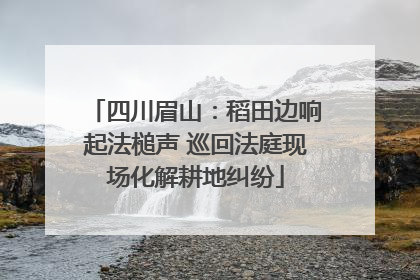 四川眉山：稻田边响起法槌声 巡回法庭现场化解耕地纠纷