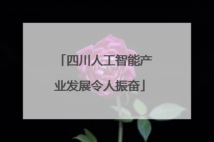 四川人工智能产业发展令人振奋