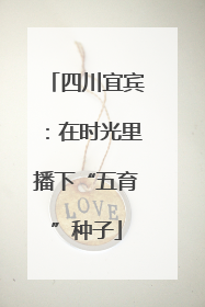 四川宜宾：在时光里播下“五育”种子