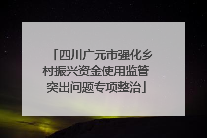 四川广元市强化乡村振兴资金使用监管突出问题专项整治