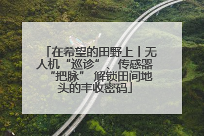 在希望的田野上丨无人机“巡诊”、传感器“把脉” 解锁田间地头的丰收密码