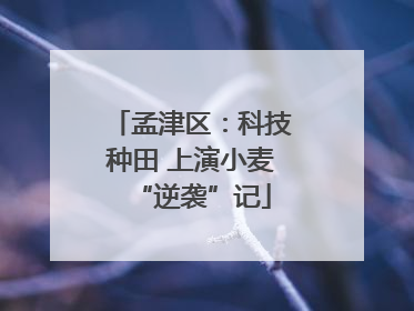 孟津区：科技种田 上演小麦“逆袭”记