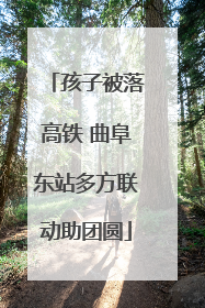 孩子被落高铁 曲阜东站多方联动助团圆