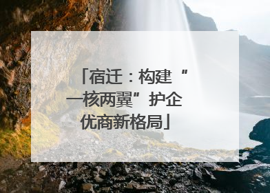 宿迁：构建“一核两翼”护企优商新格局
