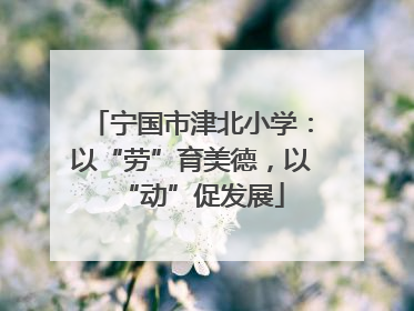 宁国市津北小学：以“劳”育美德，以“动”促发展