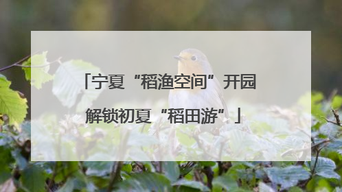 宁夏“稻渔空间”开园 解锁初夏“稻田游”