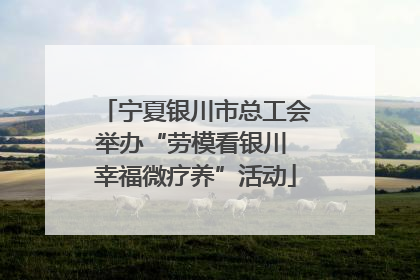 宁夏银川市总工会举办“劳模看银川 幸福微疗养”活动