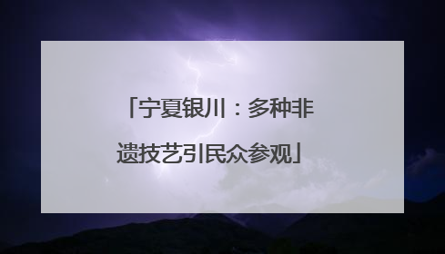 宁夏银川：多种非遗技艺引民众参观