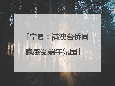 宁夏：港澳台侨同胞感受端午氛围