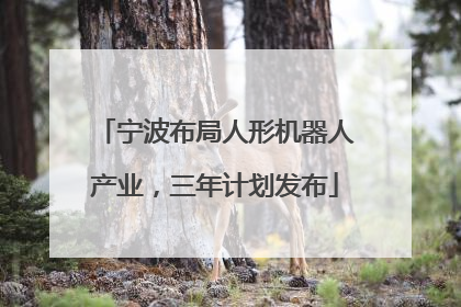 宁波布局人形机器人产业，三年计划发布