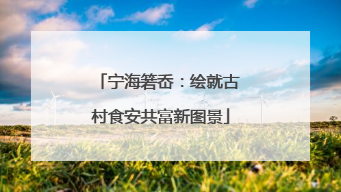 宁海箬岙：绘就古村食安共富新图景