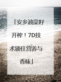 安乡油菜籽开榨！7D技术锁住营养与香味