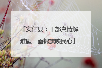 安仁县：干部真情解难题一面锦旗映民心