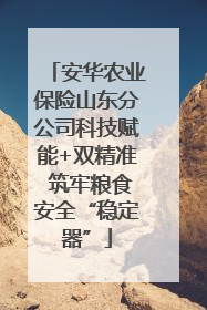 安华农业保险山东分公司科技赋能+双精准 筑牢粮食安全“稳定器”