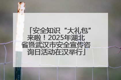 安全知识“大礼包”来啦！2025年湖北省暨武汉市安全宣传咨询日活动在汉举行