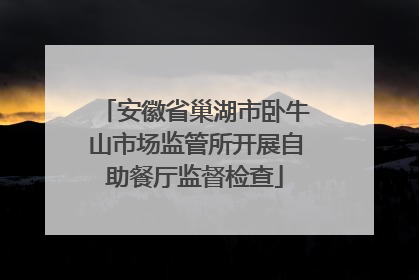 安徽省巢湖市卧牛山市场监管所开展自助餐厅监督检查