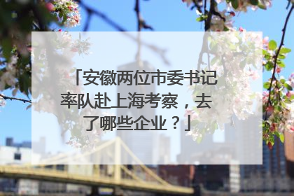 安徽两位市委书记率队赴上海考察，去了哪些企业？