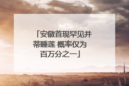 安徽首现罕见并蒂睡莲 概率仅为百万分之一
