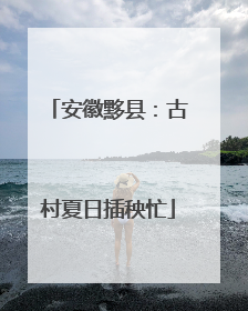 安徽黟县：古村夏日插秧忙