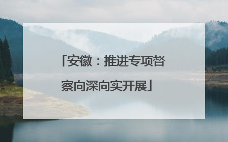 安徽：推进专项督察向深向实开展