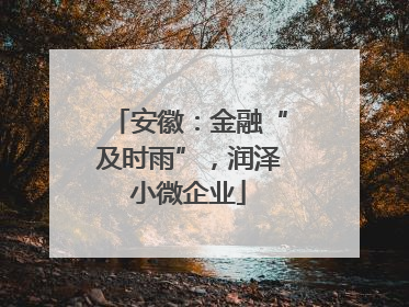 安徽：金融“及时雨”，润泽小微企业