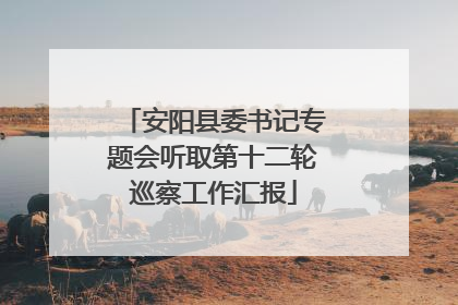 安阳县委书记专题会听取第十二轮巡察工作汇报