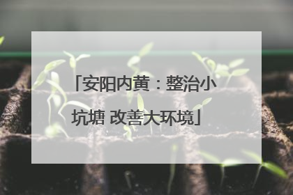 安阳内黄：整治小坑塘 改善大环境