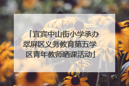 宜宾中山街小学承办翠屏区义务教育第五学区青年教师晒课活动