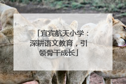 宜宾航天小学：深耕语文教育，引领骨干成长