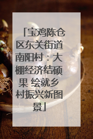 宝鸡陈仓区东关街道南阳村：大棚经济结硕果 绘就乡村振兴新图景