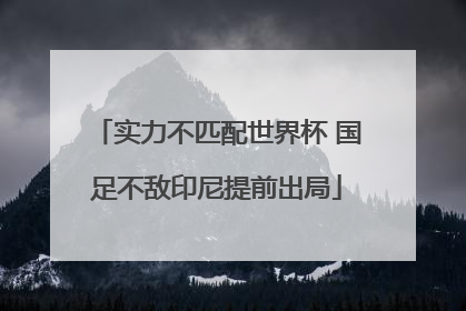 实力不匹配世界杯 国足不敌印尼提前出局