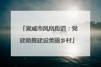 宣威市凤凰街道：党建助推建设美丽乡村