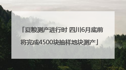 夏粮测产进行时 四川6月底前将完成4500块抽样地块测产