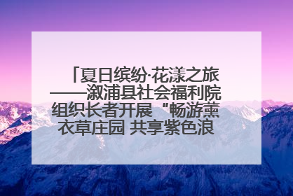 夏日缤纷·花漾之旅——溆浦县社会福利院组织长者开展“畅游薰衣草庄园 共享紫色浪漫”户外活动