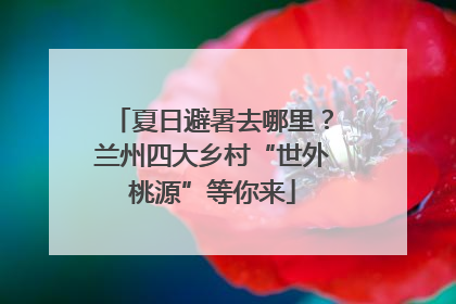 夏日避暑去哪里？兰州四大乡村“世外桃源”等你来