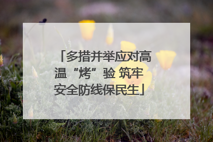 多措并举应对高温“烤”验 筑牢安全防线保民生