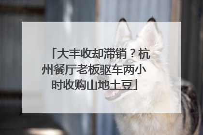 大丰收却滞销？杭州餐厅老板驱车两小时收购山地土豆