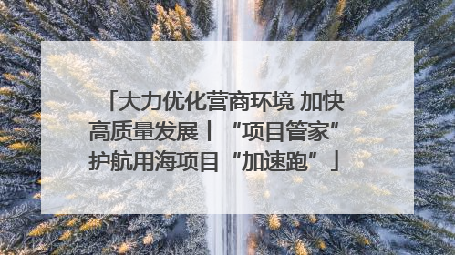 大力优化营商环境 加快高质量发展丨“项目管家”护航用海项目“加速跑”